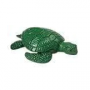 Safari Groene Zeeschildpad