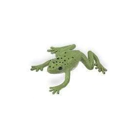 Safari Green Tree Frog