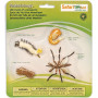Safari 662616 Life Cycle of a Mosquito