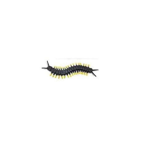 Safari Centipede