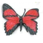 Safari Red Butterfly