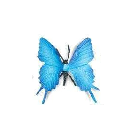 Safari Blue Butterfly