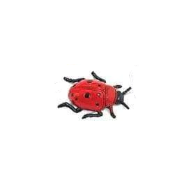 Safari Ladybug