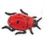 Safari Ladybug