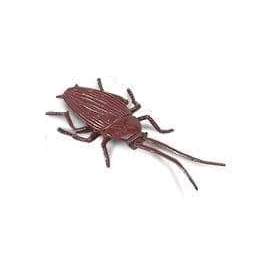 Safari Cockroach