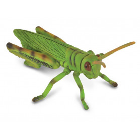 Collecta 88352 Grasshopper