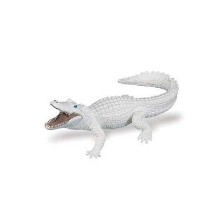 Safari 291929 Witte alligator