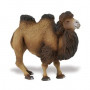 Safari 290929 Bactrian Camel