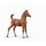 Collecta 88992 Arabian Foal Chestnut