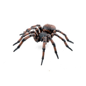 Papo 50292 Common Spider
