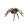 Papo 50292 Common Spider