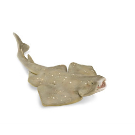 Collecta 88999 Requin-Ange