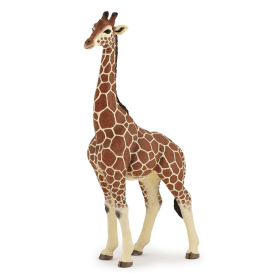 Papo 50149 Giraf Mannetje