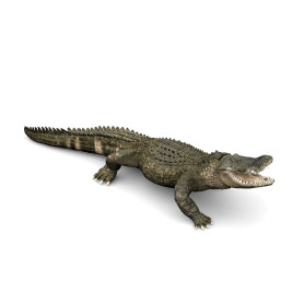 Papo 50254 Alligator