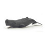 Papo 56045 Sperm Whale Calf