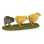 Papo 51163 Chicks