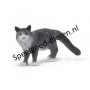 Schleich 13893 Maine Coon Cat