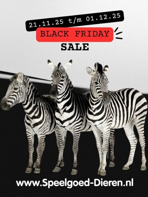 Black Friday Sale